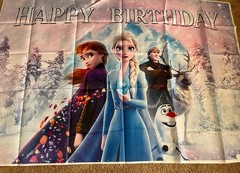 Frozen Happy Birthday Photo Backdrop Elsa, Anna New 60×40