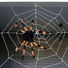 Giant 10Ft Halloween Horror Rope Spider Web Outdoor Decor Black White Party Prop