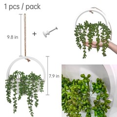 7.9 inches (W) x (H) x 0.8 (D), 1 Pcs Green Succulents