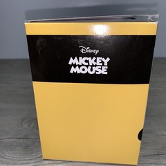 Disney Mickey Graduation Musical Water Globe