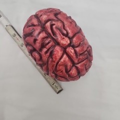 Halloween Scary Decorations Severed Hand, Brain, Lights, Blood, Web Party Props