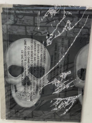 Halloween Graveyard Haunted House Party Spooky Skulls 25 ft Plastic Wall Border