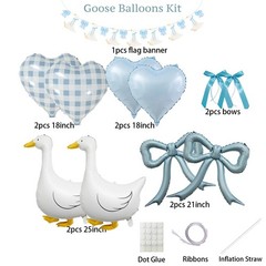 Silly Goose Party Decorations with Goose Banner, Bow & Blue Gingham Balloons,…