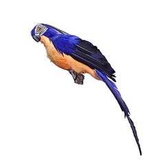 D??cor Simulation Parrot Imitation Garden Lifelike 25cm Artificial Fake
