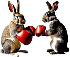 decoration Boxing Rabbits Set Of 3