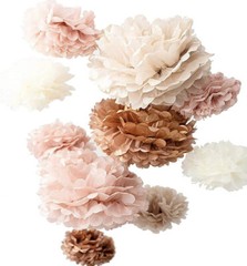 Party Pom Poms