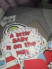 Baby Shower Cat in Hat theme banner