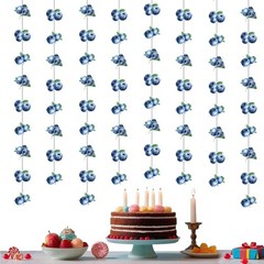 Jollboom Blueberry Party Decorations 8pcs Berry Sweet Baby Shower Birthday De…
