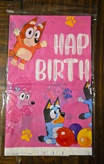 bluey birthday party decorations
