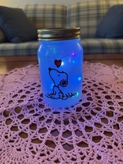 Hand Made Snoopy Lighted Jars in great condeition.