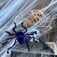 Halloween Large Spider Light Up Haunted House Prop Outdoor Indoor Party Decor ET