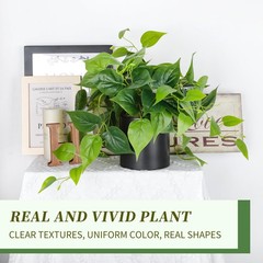 JPSOR Artificial Indoor Plants for Home Decor, 12 inches B-black Ceramic Pot