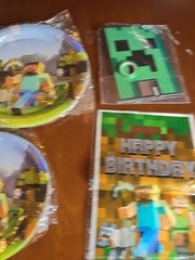 Minecraft Birthday Party Decorations Plates Napkins MC8 M1