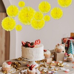 Light Yellow Tissue Paper Pom Poms Flowers 6/10/12/14 Inch 20 PCS Decoration