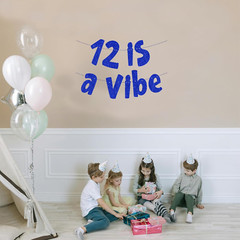 12 Is a Vibe Banner, Pre-Strung Glitter Blue 12Th Birthday Banner, Funny 12Th Bi