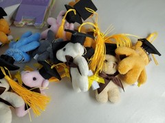 Mini Teddy Keychain Plush Multicolored Graduaction Gift Bears With Boxes New 22