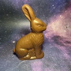 Figural Chocolate Bunny Easter Egg Rabbit Plastic Treat Case Container Animal 4+