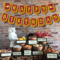 Happy Birthday Decorations Banner Pre-Strung Magic Wizard School Party Banner Wi