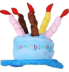 Small Happy Birthday Hat With Chin Strap For Dogs and Cats