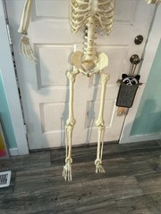 Crazy Bonez PoseNStay 5FT Skeleton Posable Moveable Joints Eyes light up