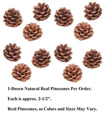 12-PC Real Pinecones Forest Pine Tree Seeds Fall / Winter Decorations 2.5″L #507