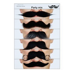 Self Adhesive Fake Mustache Mix, Novelty, False Facial Hair Value Pack (6pcs.)