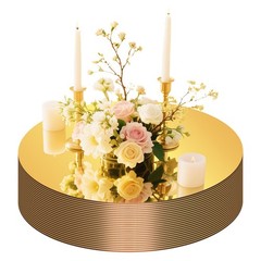 24 PCS 10 Inch Gold Round Flat Circle Glass Mirror Tray Plate Centerpiece