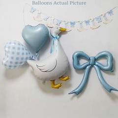 Silly Goose Party Decorations with Goose Banner, Bow & Blue Gingham Balloons,…