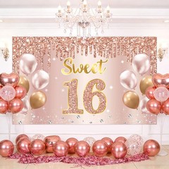 Sweet 16 Party Decorations – 16th Birthday Decorations Backdrop, Banner, Hone…
