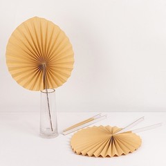 6 Natural 25″ Dried Tropical Palm Leaf Paper Fans Wedding Events Decorations