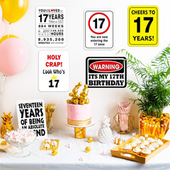 17Th Birthday Party Decorations – 9PCS Wall Signs Funny Tags for Teenagers 17 Ye