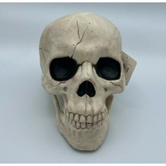 Place & Time Halloween Skull Decoration Prop Bones Horror Decor w/ Hinged Jaw