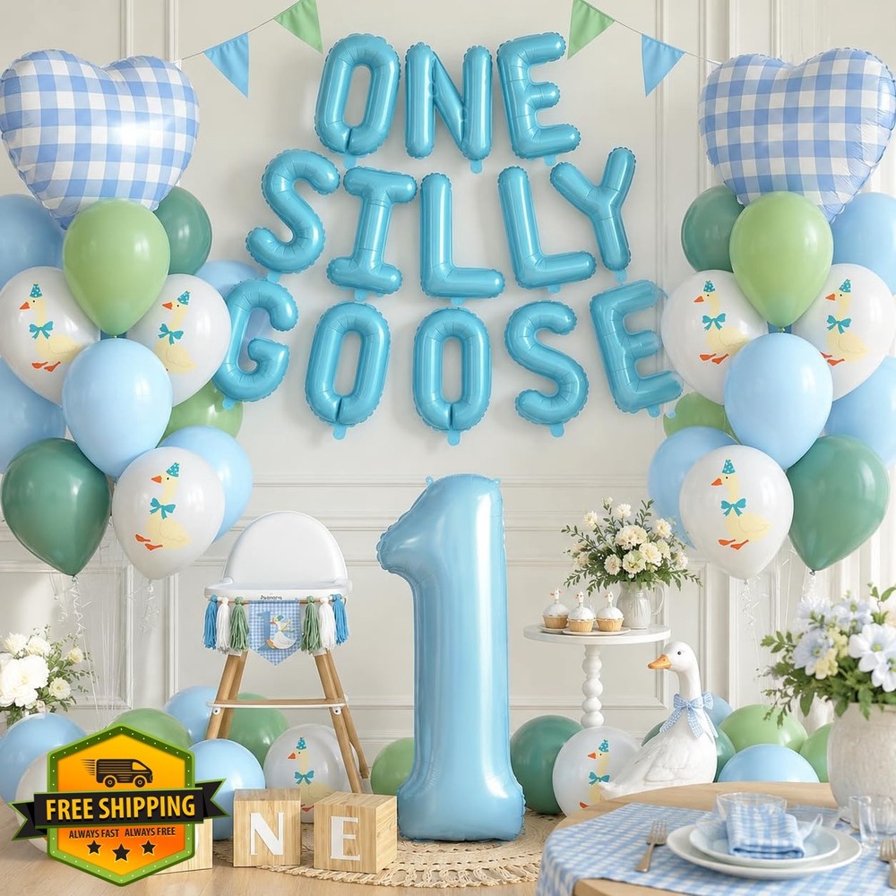 Xinvery Blue Green One Silly Goose 1st Birthday