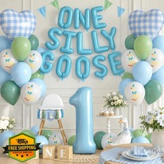 Xinvery Blue Green One Silly Goose 1st Birthday