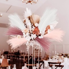 Agusbagli 30pcs Pink Faux Pampas Grass, & White Light