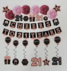 CHEERS TO 21 YEARS PINK PARTY DECOR PACK PT3