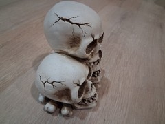 Makers Halloween Skull Decor 8-9 inch