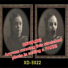 Horror Pictures LO Halloween Changing Face Ghost Photo ~ Beware of frame FAKES!
