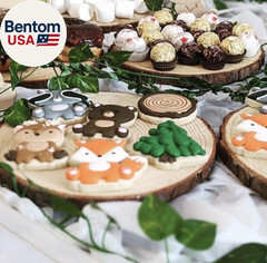 Set of (10) Medium 9-11″ Wood Slices for Centerpieces! Wedding and Baby Shower C