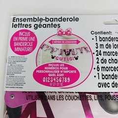 Minnie Mouse Birthday Banner Pink Customizable 10 ft long Disney Junior NEW