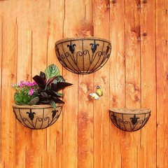 Decorative Iron Wall Hung for Stylish Indoor and Outdoor Plant Displays