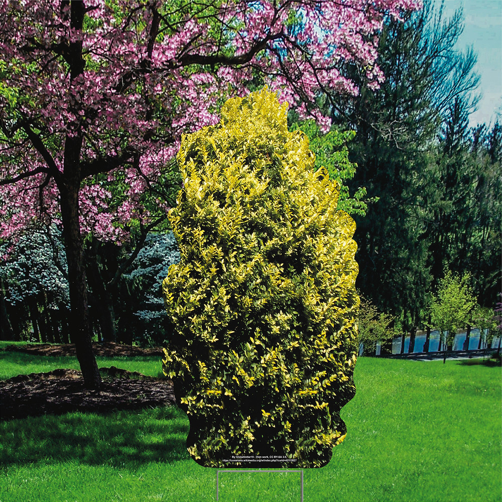 YS3012 Nature Garden Bush Shrub Plant Plastic Outdoor Yard Sign Lawn Sign Decora
