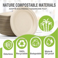 6 Inch Small Paper Plates Disposable – Biodegradable Compostable Appetizer Pl…