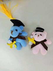 Mini Teddy Keychain Plush Multicolored Graduaction Gift Bears With Boxes New 22