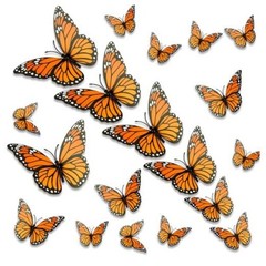 Monarch Butterfly Decorations, 24 PCS Monarch Butterfly Wall Decor 3D Style a
