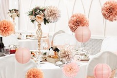 Hanging Party Decorations Tissue Paper pom poms and Lanterns Backdrop Decor