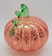 Halloween Autumn Fall Orange Pumpkin Light Up Battery Operated