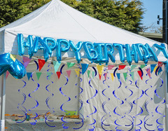 30 Pcs Blue Hanging Swirls Decorations Swirl Party Decorations Plastic Party Str