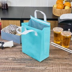 Restaurantware Insulated Delivery Bags 25 Count 8.27 X 4.33 X 10.63 Inches