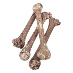 4 Pcs Halloween Decoration Bones Accessories Artificial Prank Prop